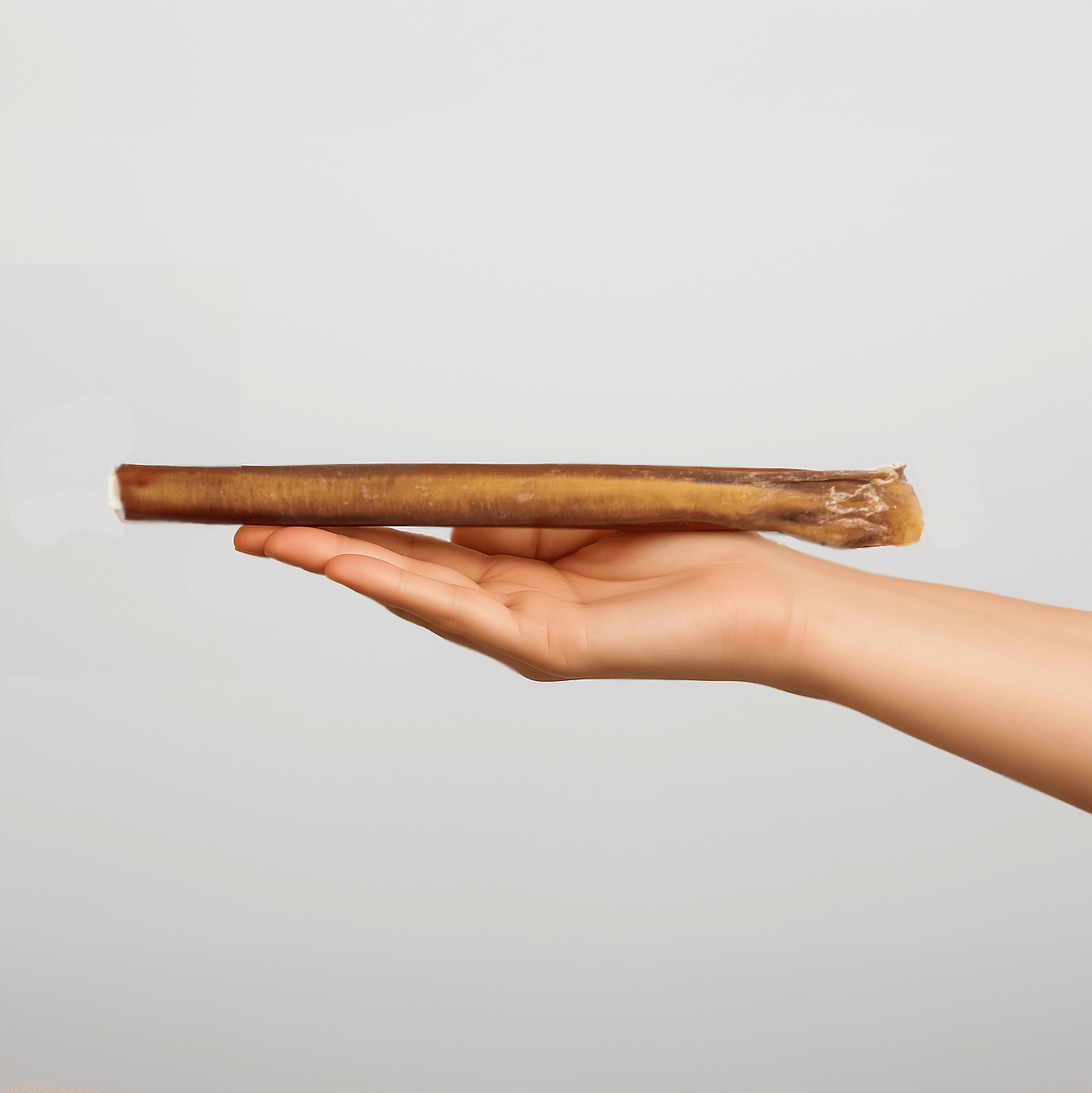 Extra Large Bully Stick 30 CM | 10-pack