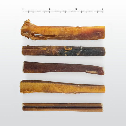 Bully Stick 15 CM | 10-pack