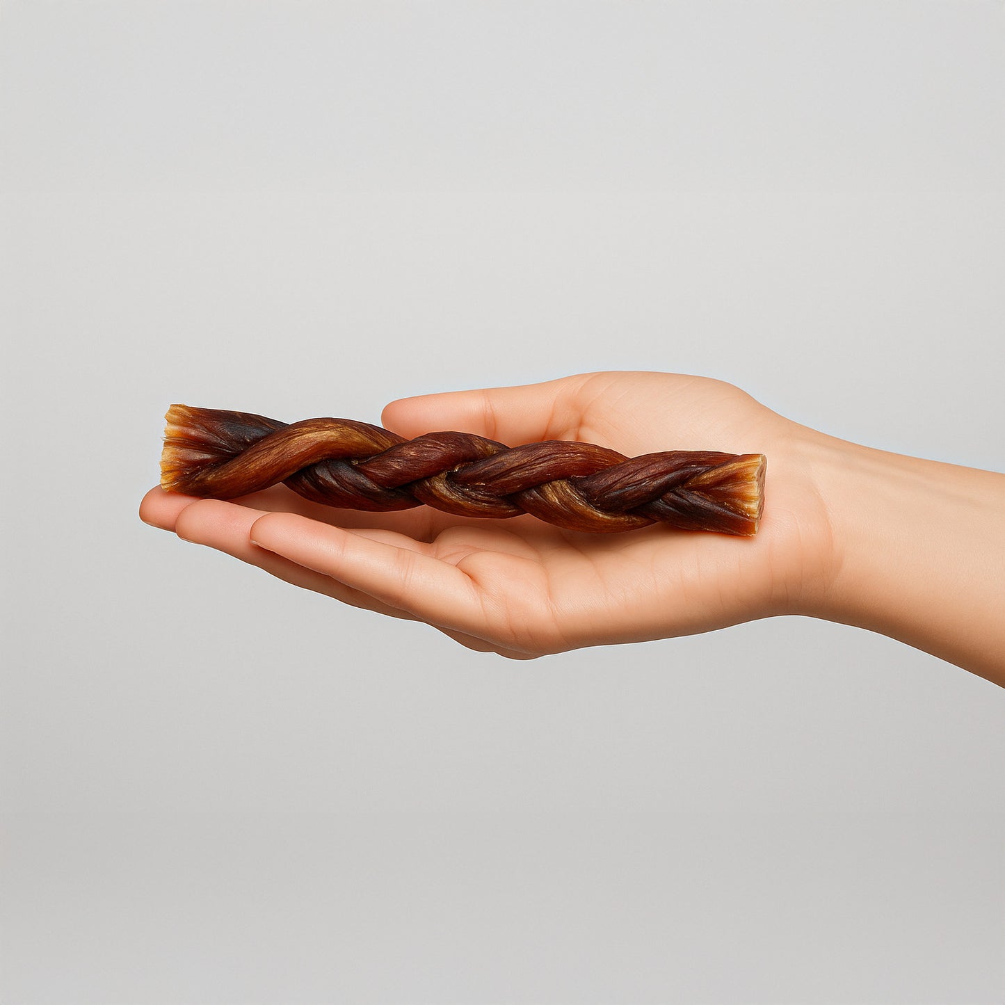 Braided Bully Stick 15 CM | 10-pack