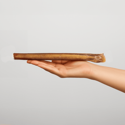 Extra Large Bully Stick 30 CM | 10-pack