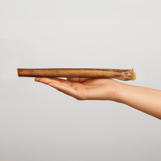 Extra Large Bully Stick 30 CM | 5-pack