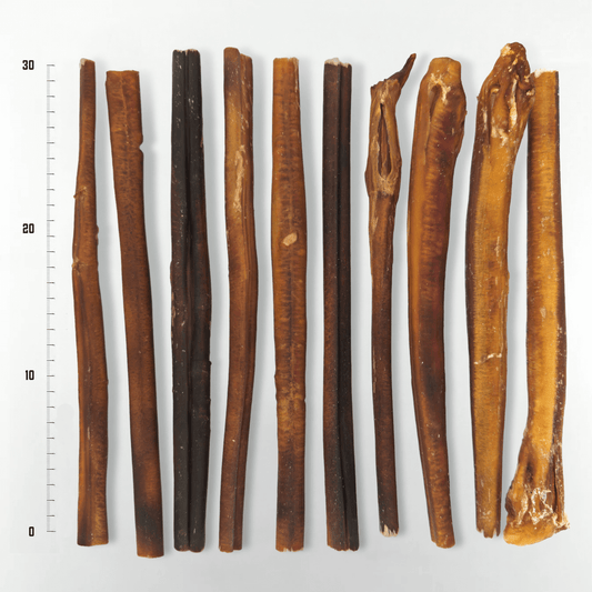 Extra Large Bully Stick 30 CM | 10-pack